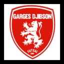 Logo ASC Garges Djibson