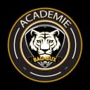 Logo Futsal Bagneux Academy