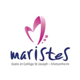 Logo ACEEMM Institut Saint Joseph