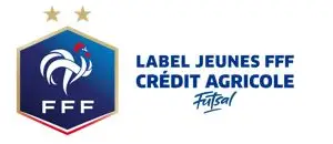 Jeunes FFF Futsal Argent
